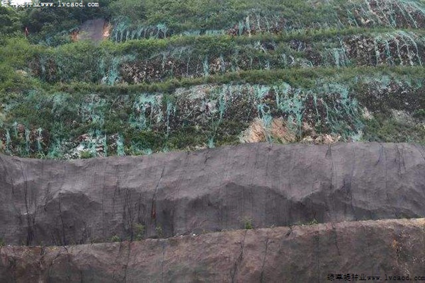 草坪在石山復綠工程中的應用